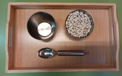CUCHARADAS DE HABICHUELAS