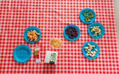 EL PICNIC DE FRUTAS QUE PEDIMOS