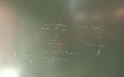 ¿QUÉ QUEREMOS SABER DEL GATO?