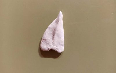 EL DIENTE DEL DINOSAURIO