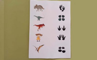 IDENTIFICAMOS HUELLAS