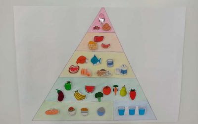 ¿QUÉ COMEMOS LOS HUMANOS?