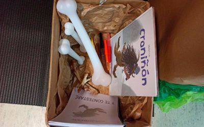 CRONIÑÓN HA VUELTO